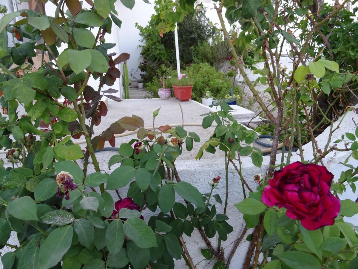 Andreas Studio With Private Parcking Apartment Triovasalos ภายนอก รูปภาพ